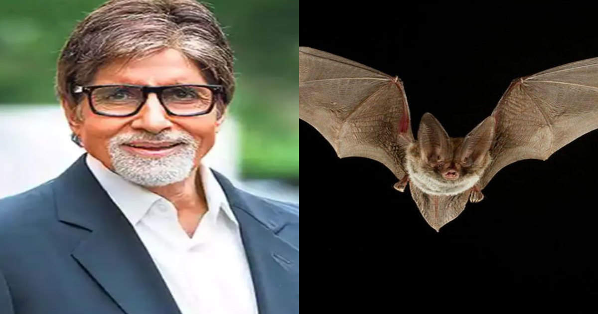 Amitabh Bachchan के कमरे में घुसा चमगादड़, Big-B बोले “कोरोना पीछा नहीं छोड़ रहा है”