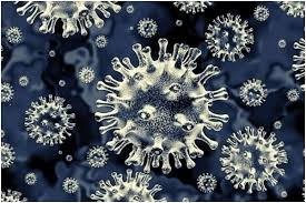 COVID-19 and Black Fungus: आखिर कोरोना वायरस और ब्लैक फंगस में समबन्ध क्या है?