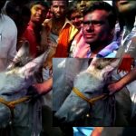 HOLI, HOLI 2022, HOLI Message, son-in-law rides a donkey on HOLI, son-in-law rides a donkey on HOLI in Maharashtra, Maharashtra Holi, Maharashtra Beed District Holi